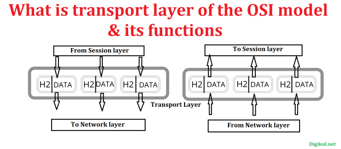 Transport layer segmentation presentation ppt powerpoint reassembly Layer transport