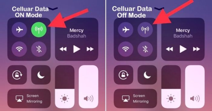 Cara off wa tanpa mematikan data seluler di iphone