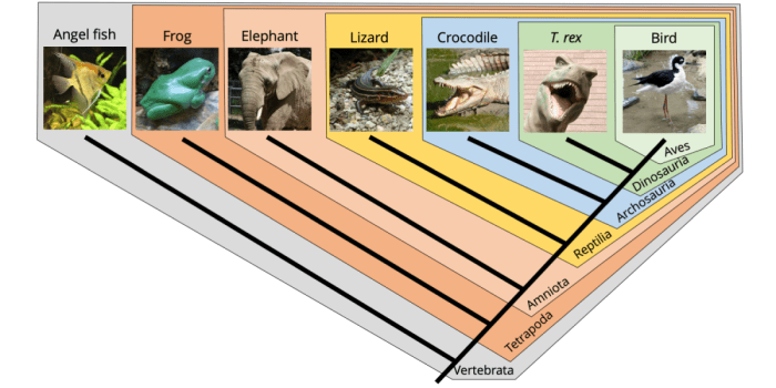 Systematics life atlas Sistematika adalah