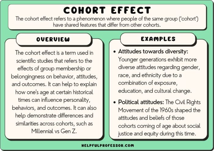 Cohort adalah