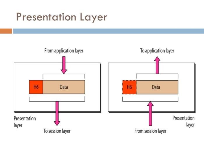 Osi protocols protocol tcp application explanation ethernet wifi lapisan Presentation layer