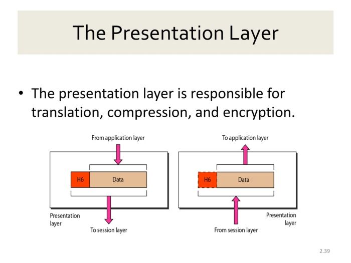 Layer osi byte Presentation layer