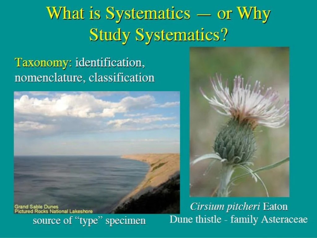 Systematics biology Sistematika adalah