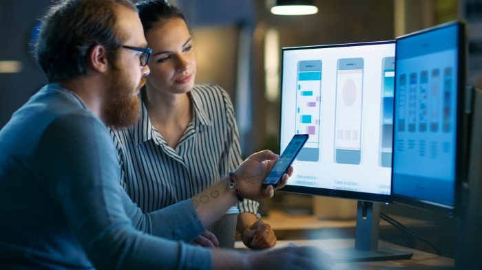 App Developer Adalah